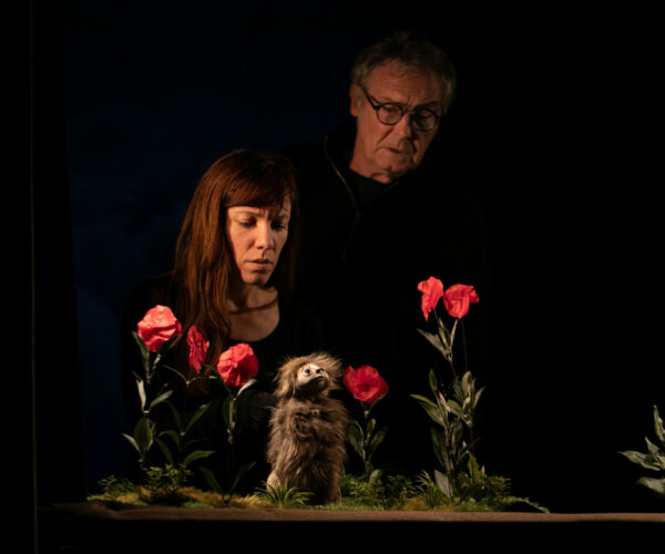 Bordeau Cinéma Théâtre - 'OODAQ Aurore Papalia 52