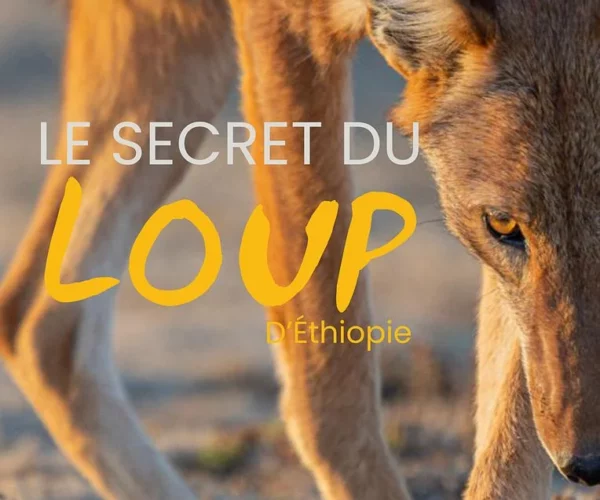 Bordeau Cinéma Théâtre - aff