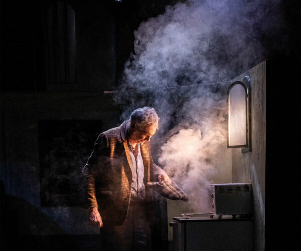 Bordeau Cinéma Théâtre - Ferdinand @Zoé HOLLEBECQ - 3